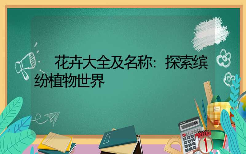 花卉大全及名称:探索缤纷植物世界